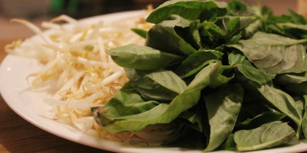 Phở & Summer Rolls