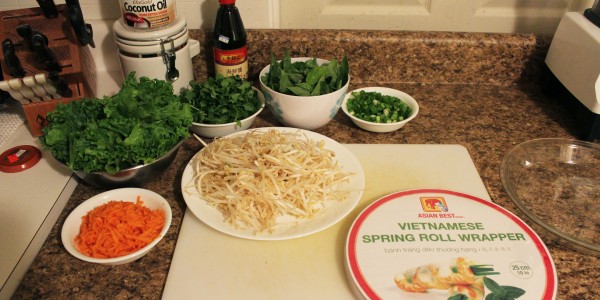 Phở & Summer Rolls