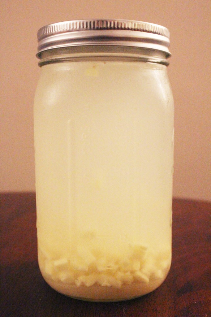 Homemade Ginger Ale | The Polivka Family