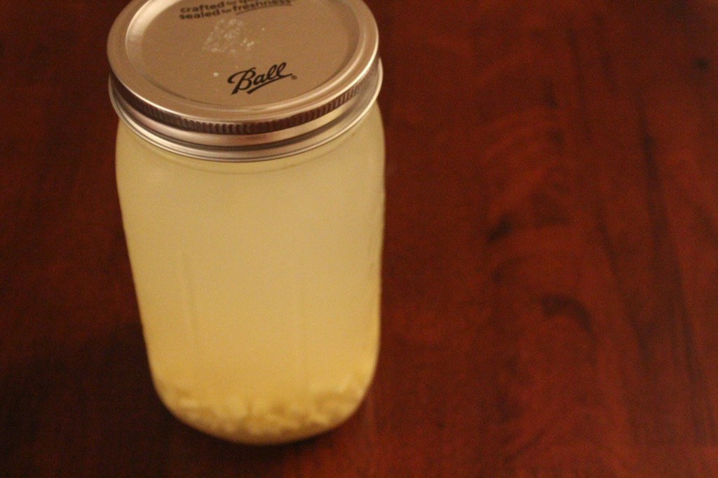 Homemade Ginger Ale | The Polivka Family