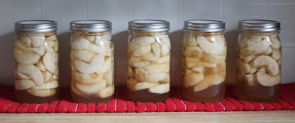 121007.CanningApples5