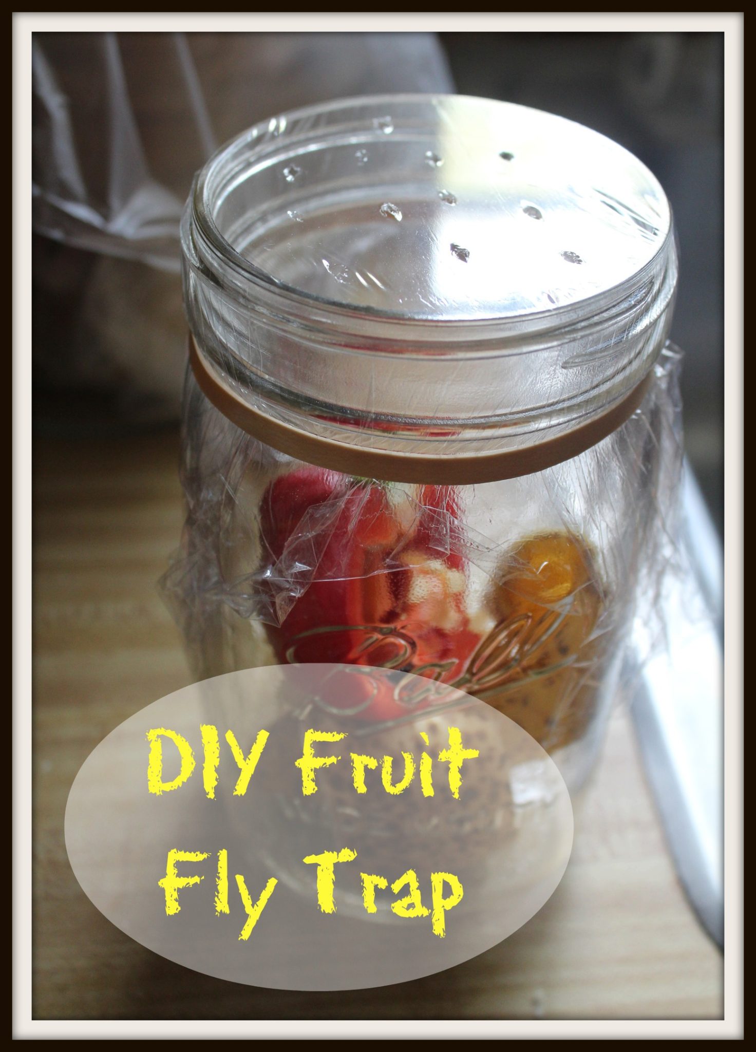 How To Make Fruit Fly Traps  Homemade Natural Recipes 