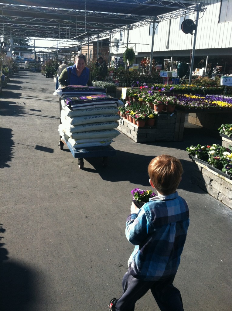 Preparing Vegetable Beds for Spring: Lasagna Gardening