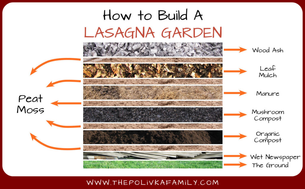Preparing Vegetable Beds for Spring: Lasagna Gardening