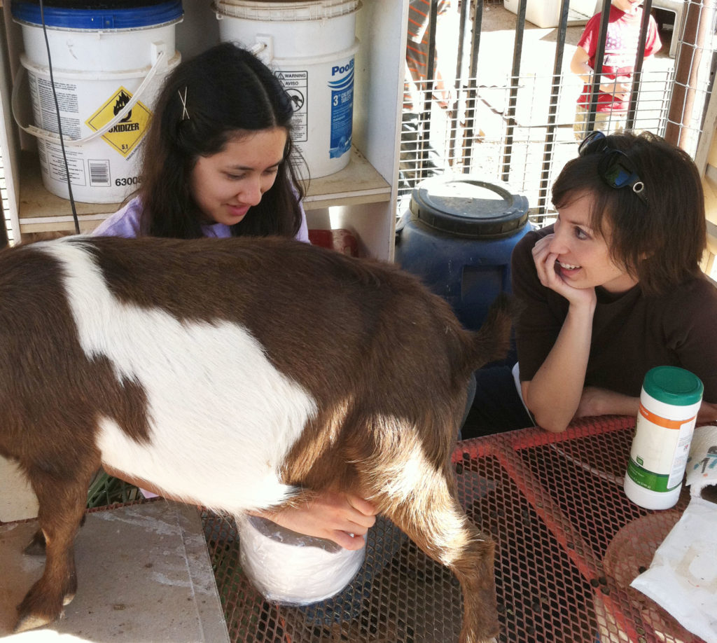 Courtney's Blogger Tour: Milking Goats at DaNelle's @ Weed 'em & Reap