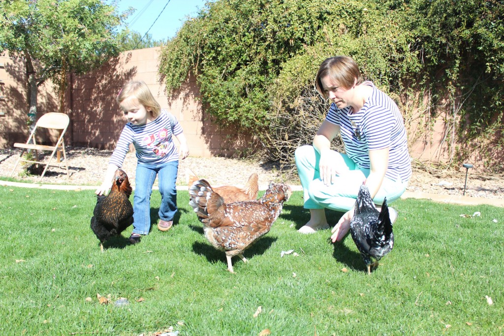 Courtney's Blogger Tour: Backyard Chickens & Kelly @ Oh, Lardy!