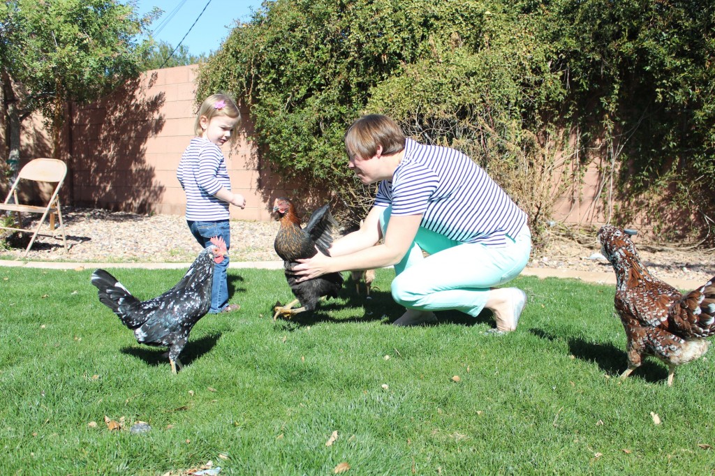 Courtney's Blogger Tour: Backyard Chickens & Kelly @ Oh, Lardy!