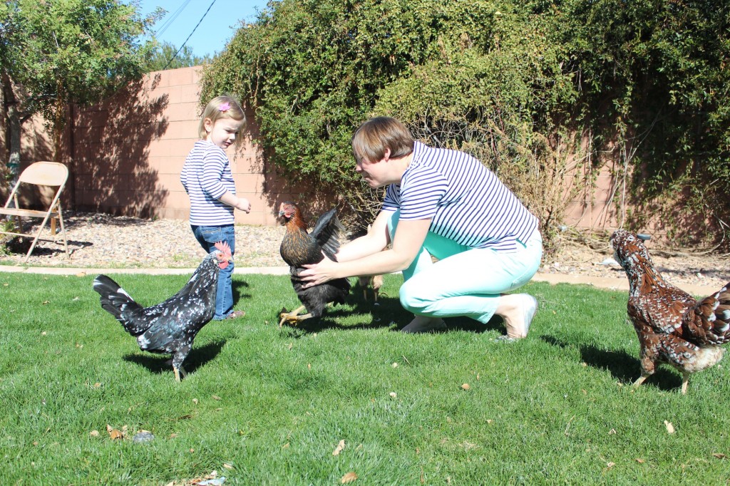 Courtney's Blogger Tour: Backyard Chickens & Kelly @ Oh, Lardy!