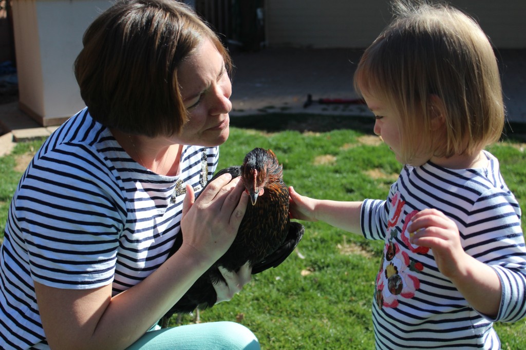 Courtney's Blogger Tour: Backyard Chickens & Kelly @ Oh, Lardy!