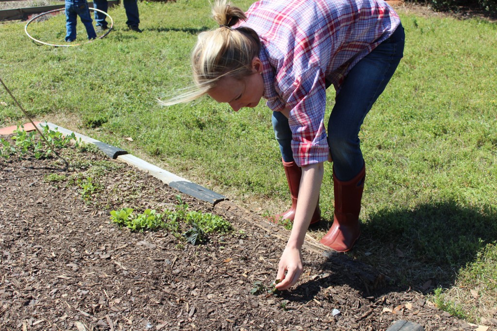 Courtney's Blogger Tour: Shaye @ The Elliott Homestead