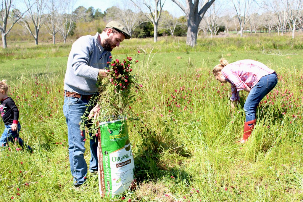 Courtney's Blogger Tour: Shaye @ The Elliott Homestead