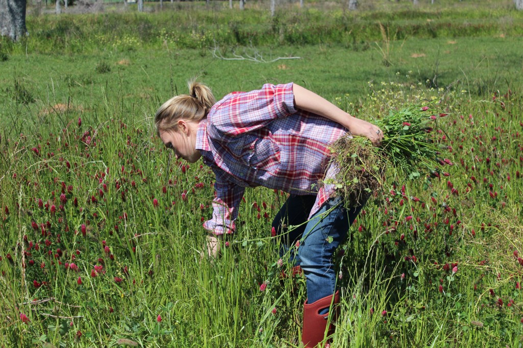 Courtney's Blogger Tour: Shaye @ The Elliott Homestead