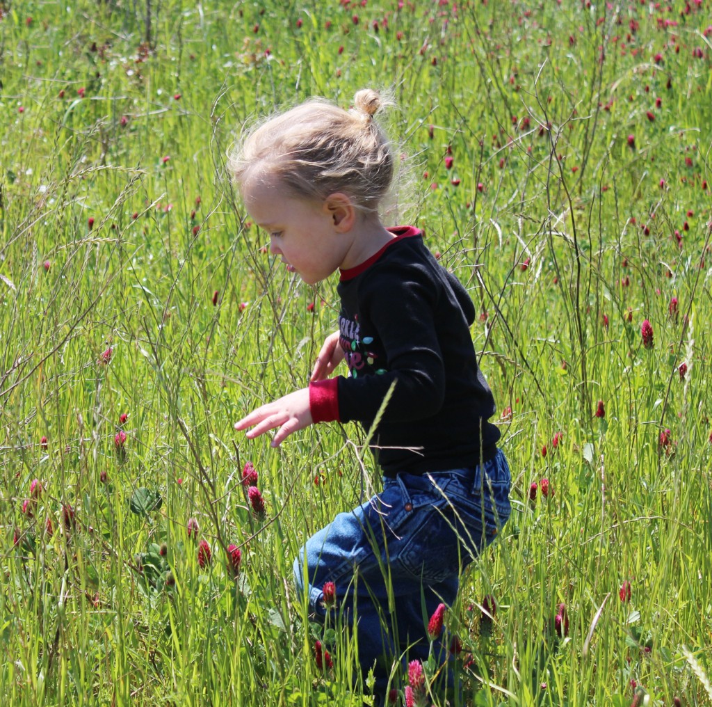 Courtney's Blogger Tour: Shaye @ The Elliott Homestead