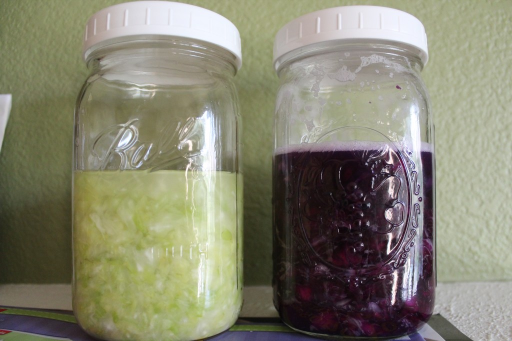 How to Make Sauerkraut