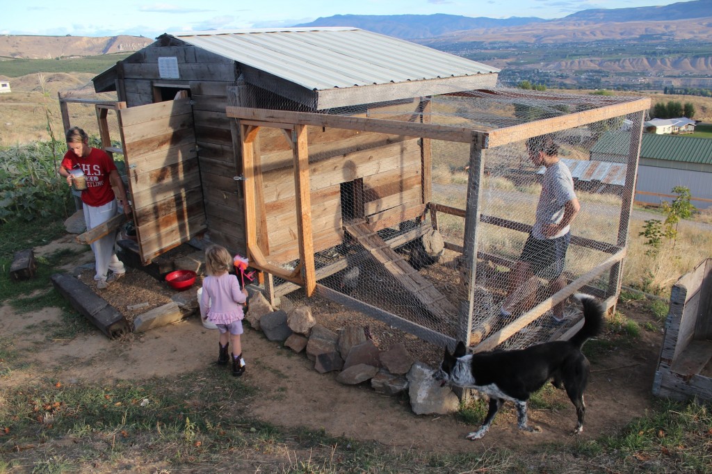 Mountains, pears, and chai tea. (A visit to The Elliott Homestead)