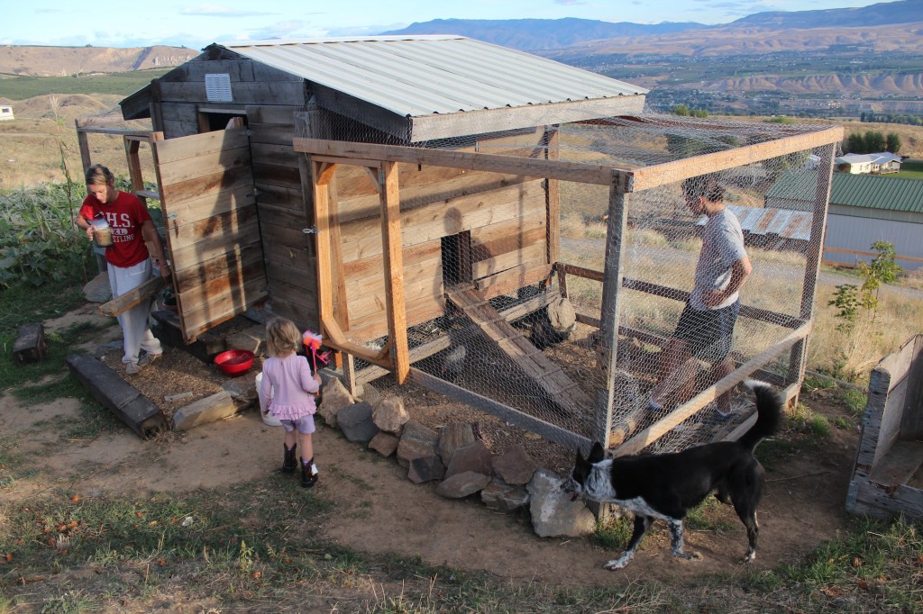 Mountains, pears, and chai tea. (A visit to The Elliott Homestead)