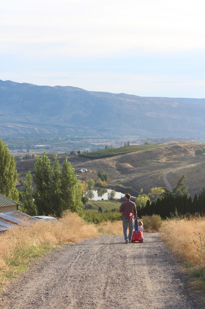 Mountains, pears, and chai tea. (A visit to The Elliott Homestead)