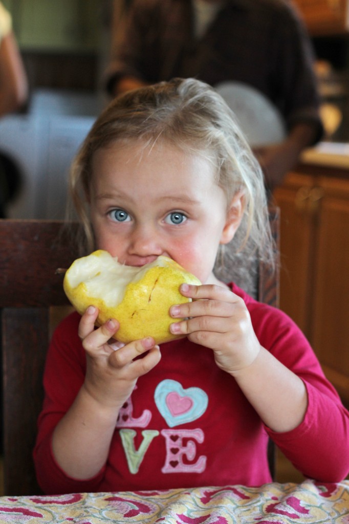 Mountains, pears, and chai tea. (A visit to The Elliott Homestead)