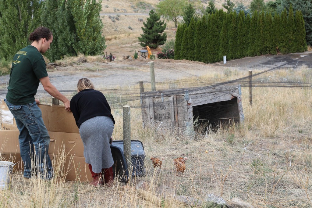 Mountains, pears, and chai tea. (A visit to The Elliott Homestead)