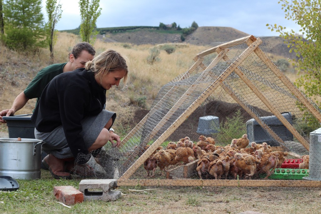 Mountains, pears, and chai tea. (A visit to The Elliott Homestead)