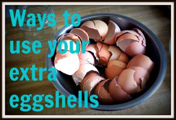 Ways To Use Your Extra Eggshells