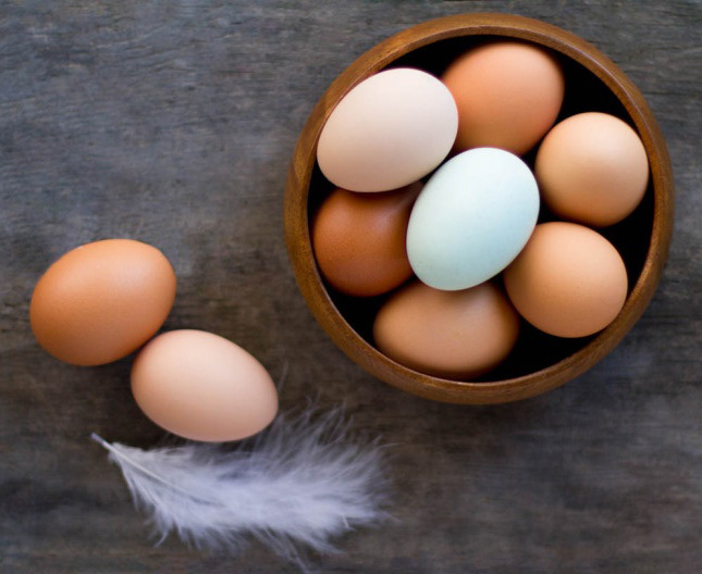 BEWARE of GMOs lurking in pastured eggs