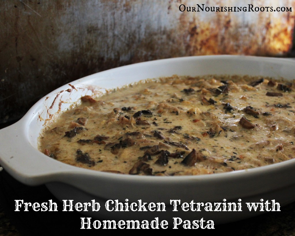 Fresh Herb Chicken Tetrazini with Homemade Pasta