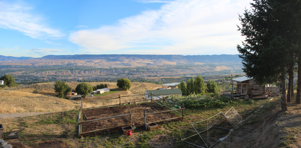 Mountains, pears, and chai tea. (A visit to The Elliott Homestead)