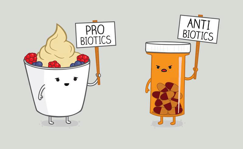 Probiotics Antibiotics